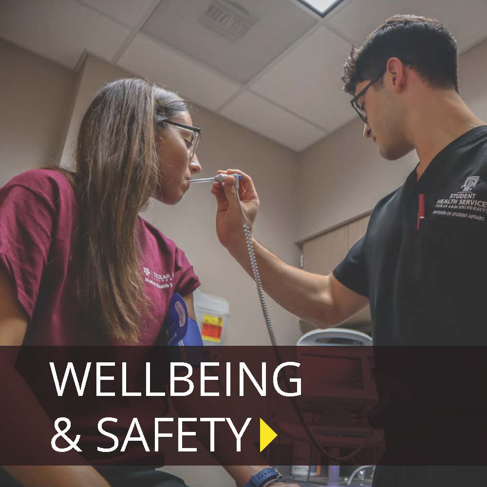 Click here to learn about Wellbeing and Safety