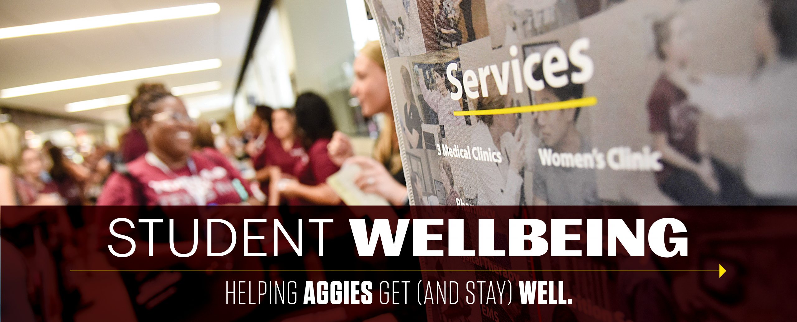 Image of a banner that says services with a graphic displayed over reading "Student Wellbeing; Helping Aggies Get (and stay) Well"