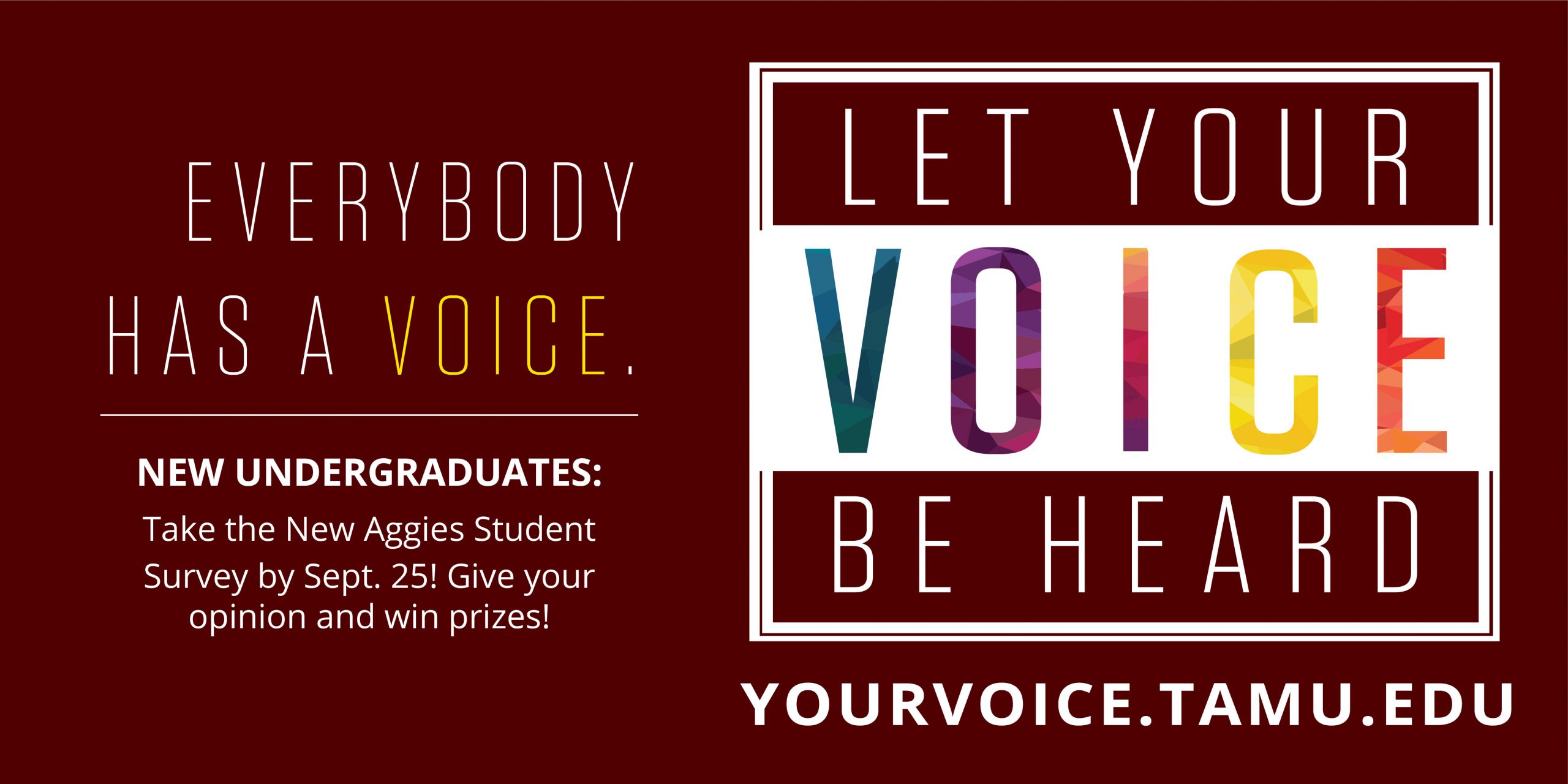 Graphic with the words "Everybody has a voice. Let your voice be heard." Survey website is yourvoice.tamu.edu.