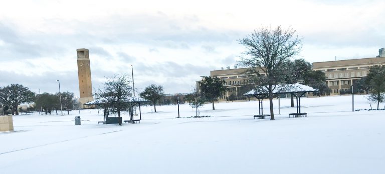 Image of snow on the MSC lawn