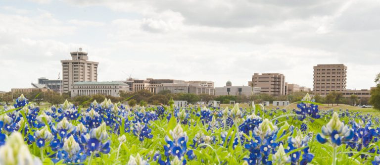 Texas A&M campus in the background with bluebonnet field in the foreground.