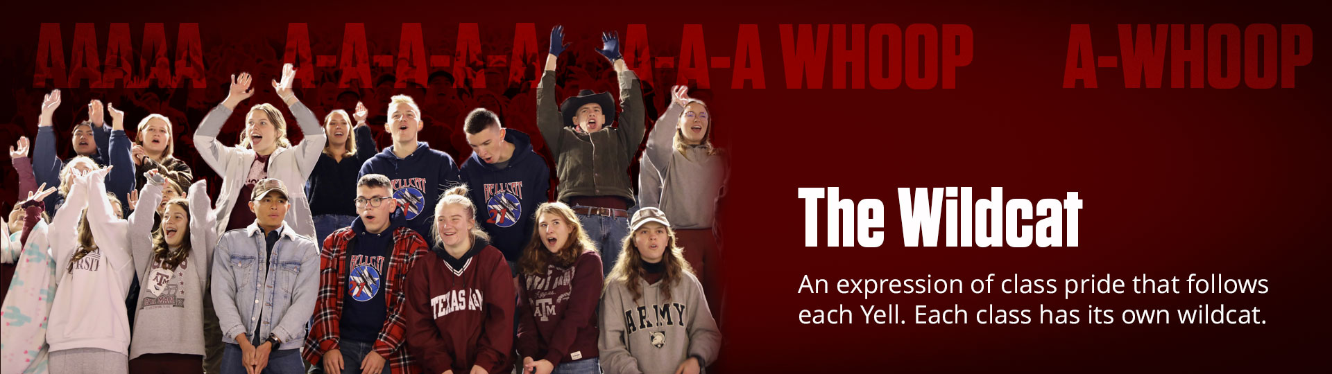 Graphic that reads"The Wildcat. An expression of class pride that follows each Yell. Each class has its own wildcat"