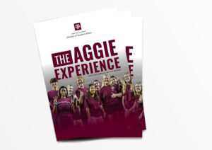 Mockup of the DSA Annual Report: The Aggie Experience.