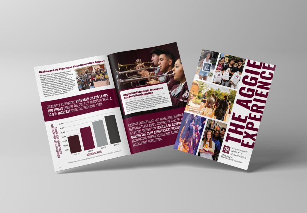 Mockup of the DSA annual report