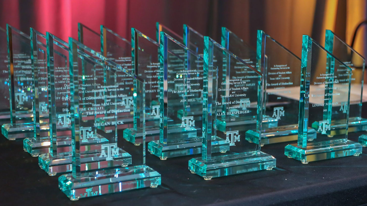 DSA Award of Distinction mementos arranged in rows on a table.