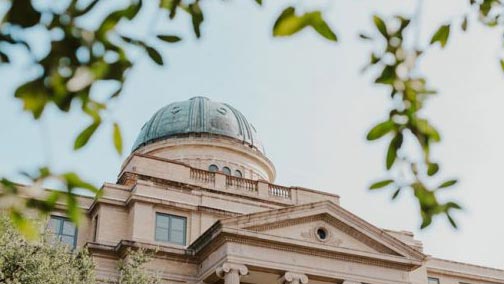 Academic Building with leaves in the foreground.